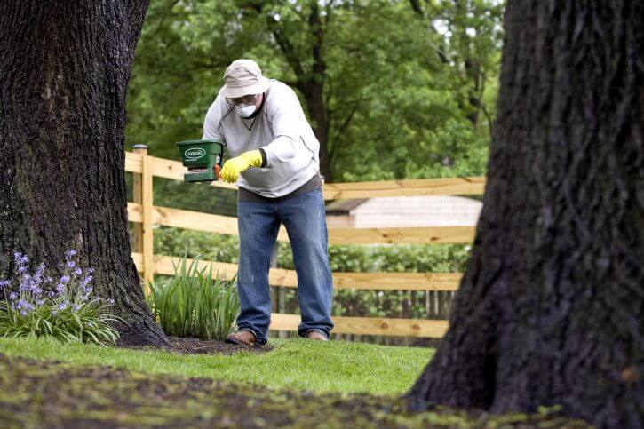 gardener applying chemical fertilizer