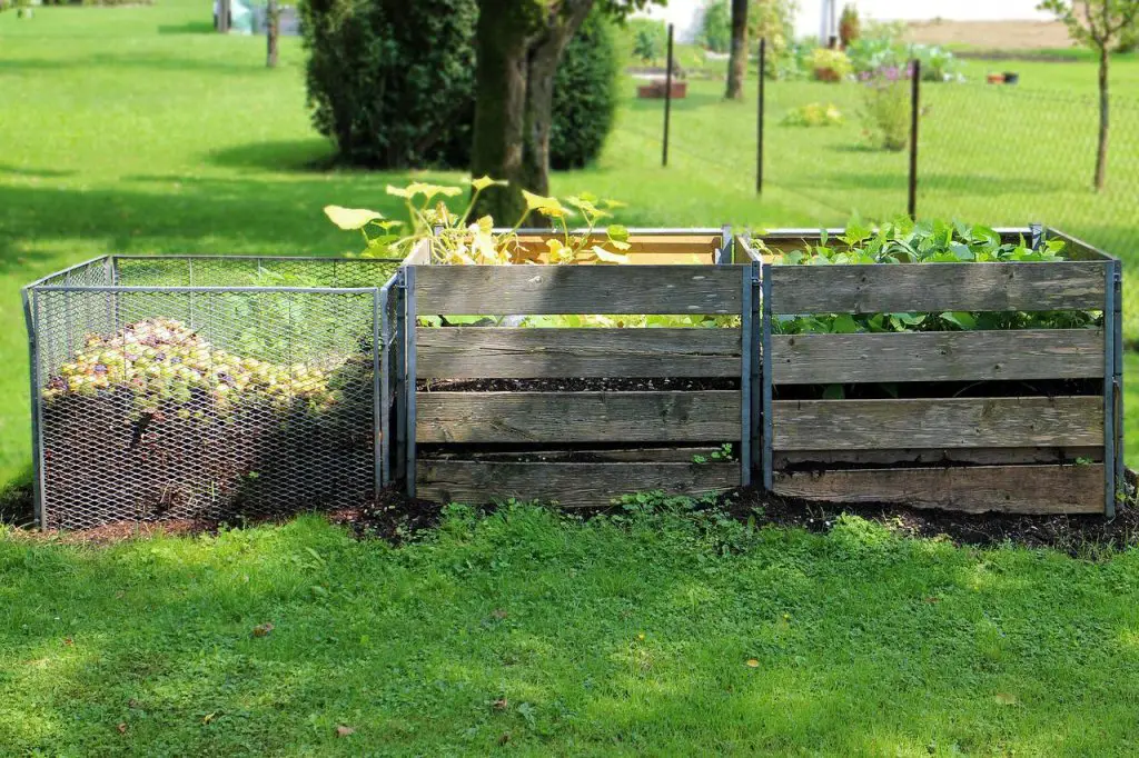 Can You Compost Orange Peels? Will It Compost