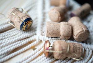 is cork biodegradable