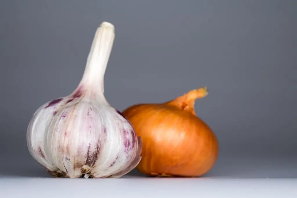 composting garlic and onions