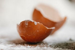 Preparing eggshells for compost