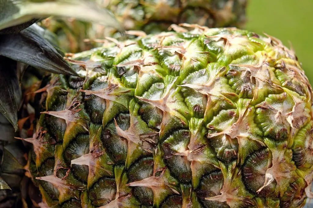Can you compost pineapple?