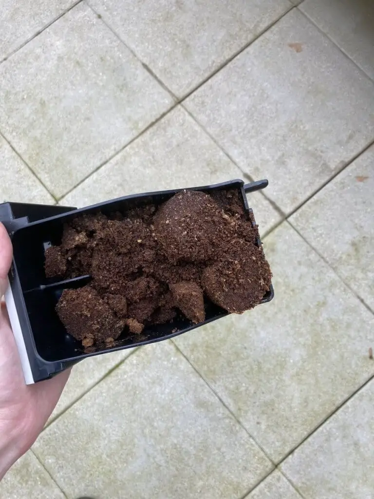 coffee ground compost