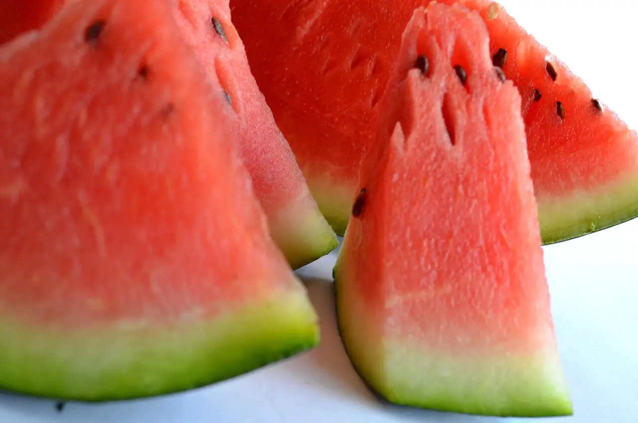 can you compost watermelon rind