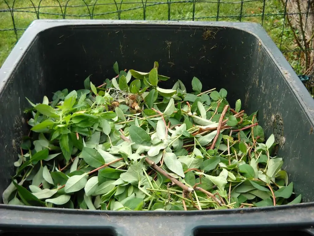 leaf compost