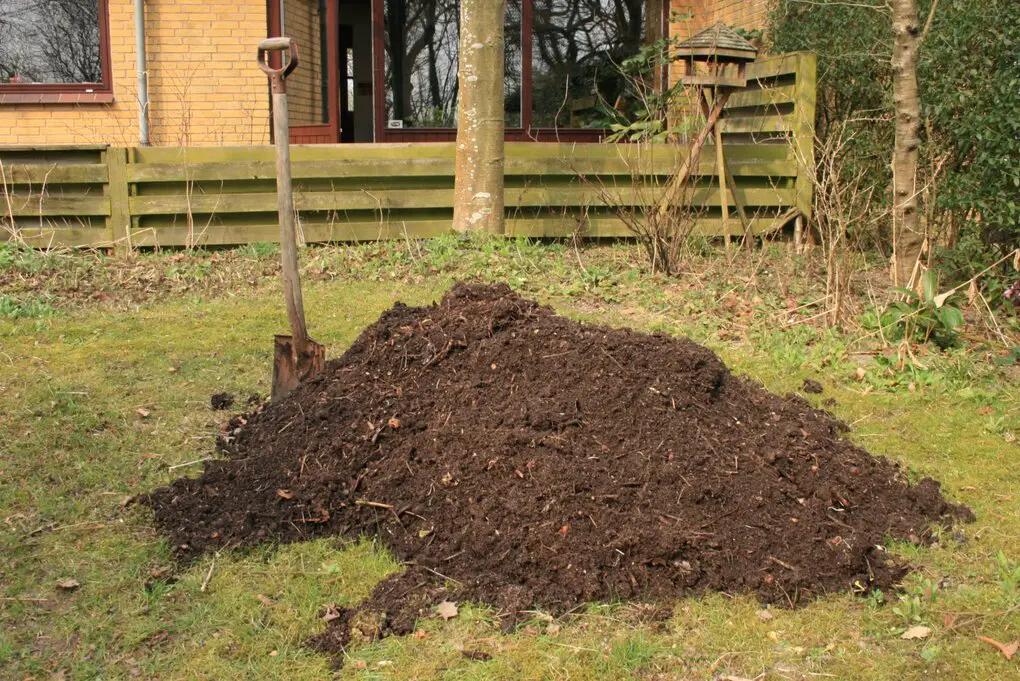 Compost heap