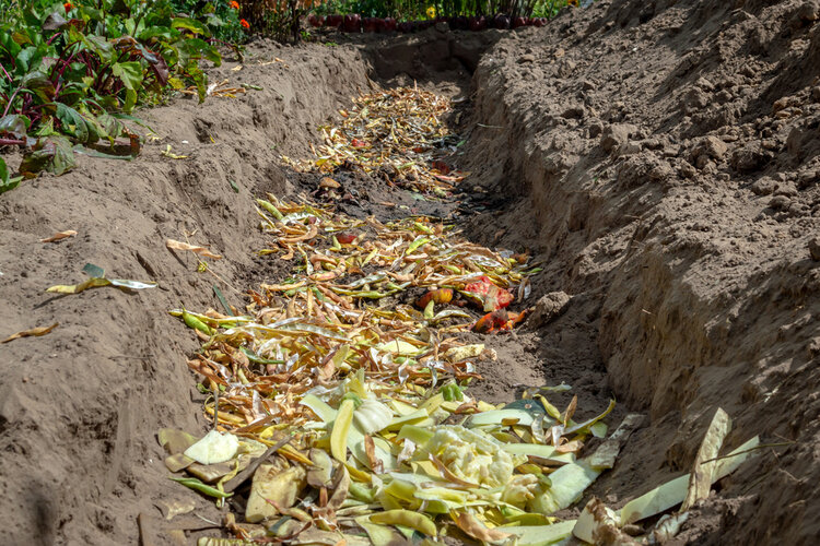 Trench composting