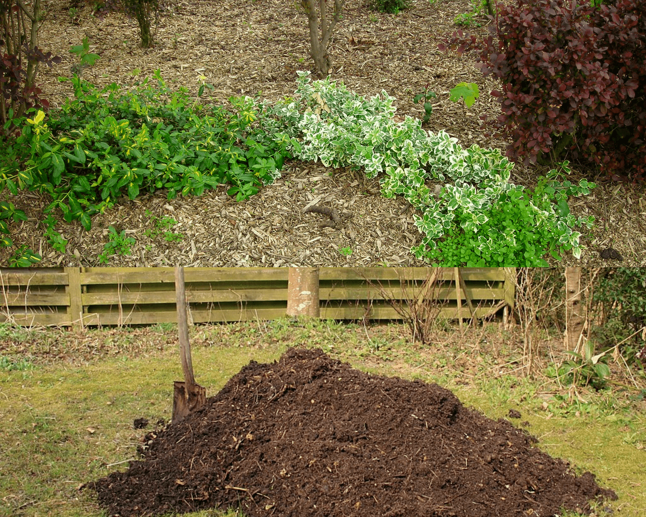 mulch vs compost