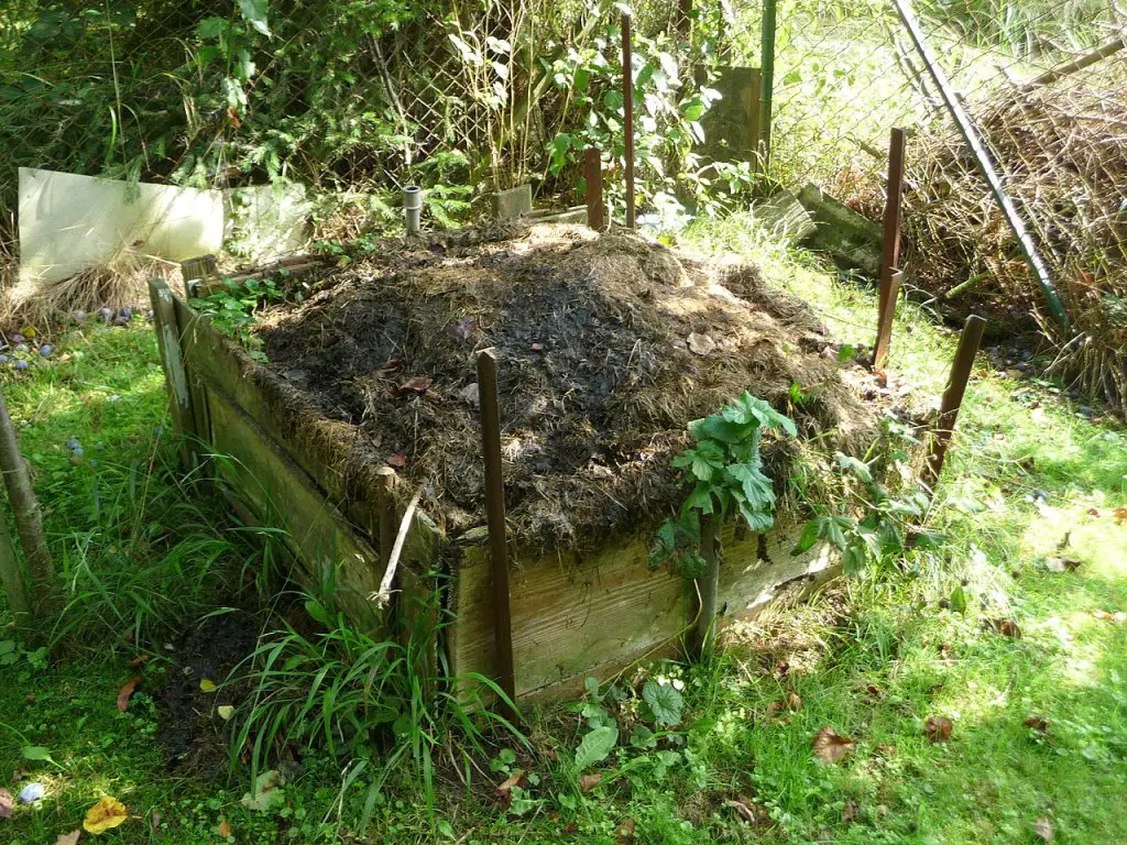 Should Your Compost Bin Or Pile Be In The Sun Or Shade? Will It Compost