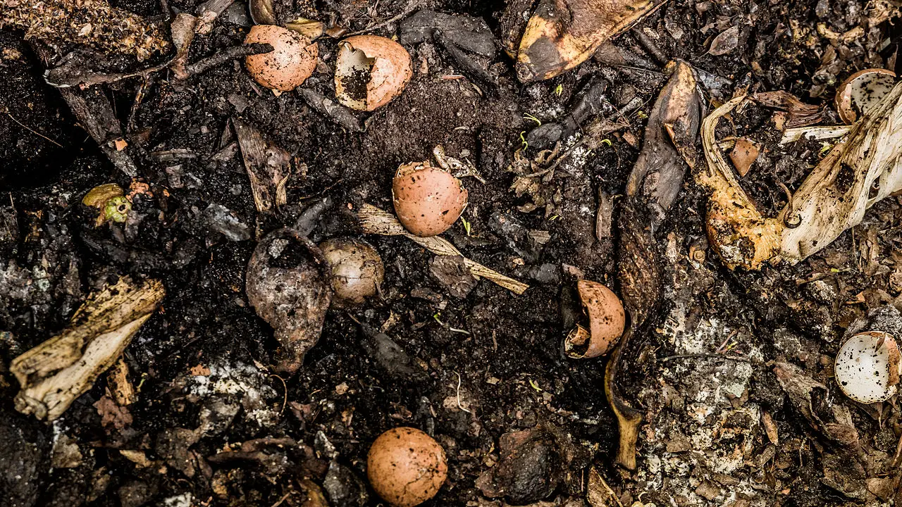 what not to compost