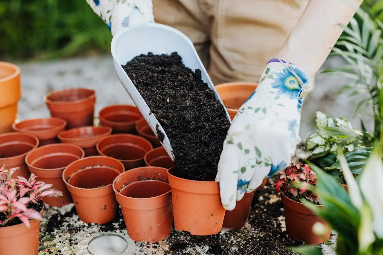 when to add compost to garden