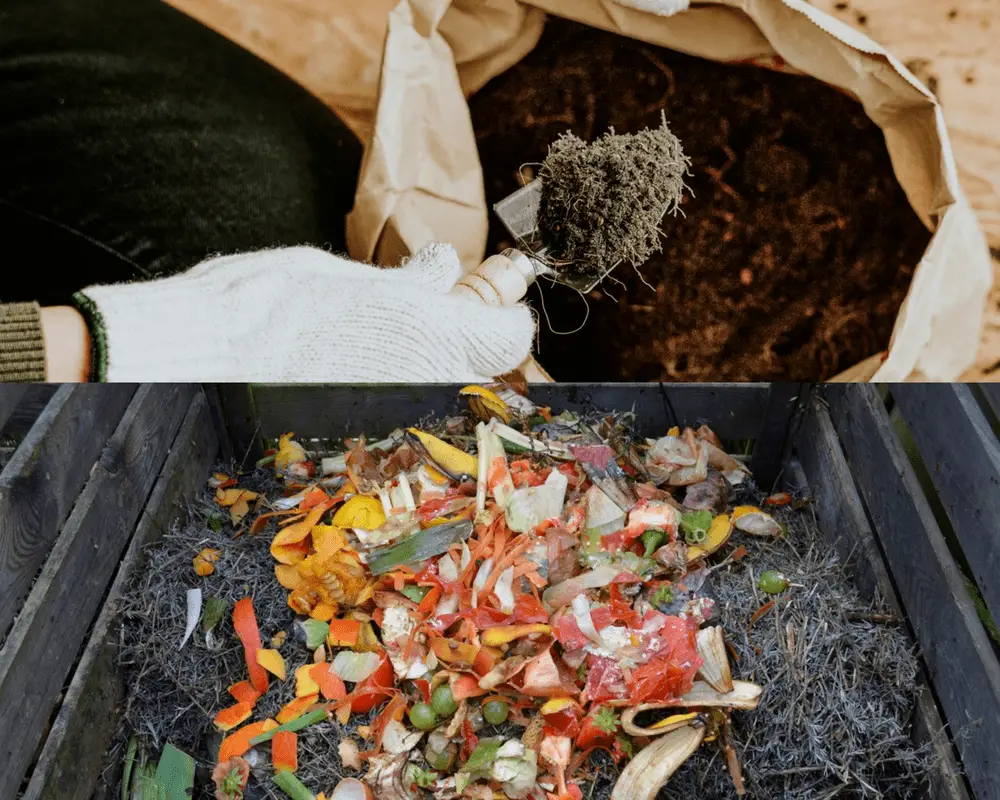 potting soil vs compost