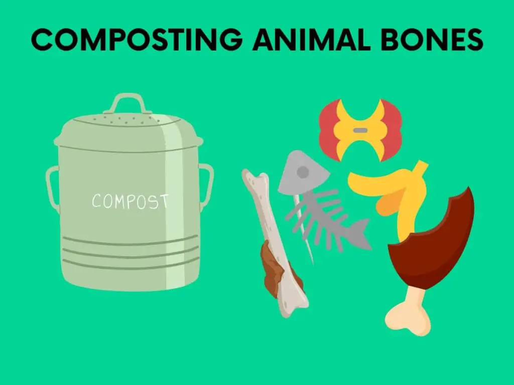 composting animal bones