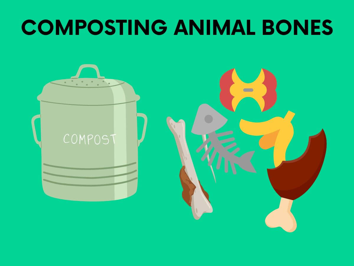 Our Beginner's Guide To Composting At Home Will It Compost