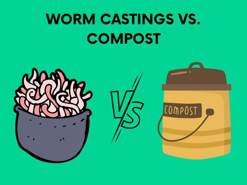 worm castings vs compost